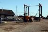 Findhorn July 2021 0106